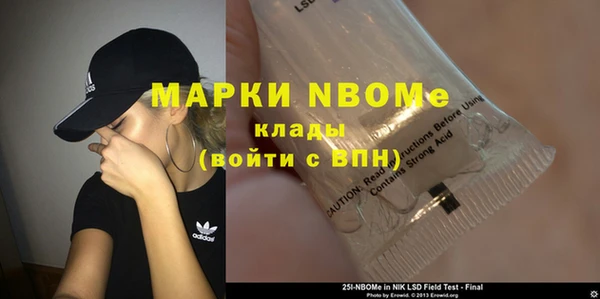 шишки Абаза