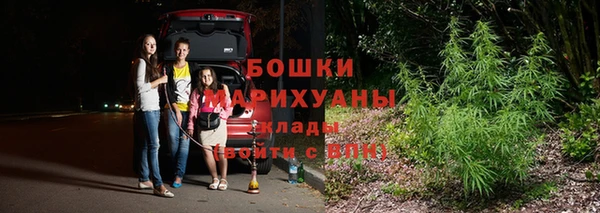шишки Абаза