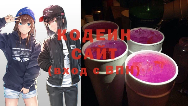 шишки Абаза