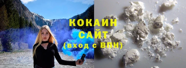 шишки Абаза