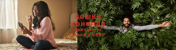шишки Абаза