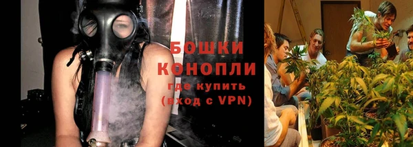 шишки Абаза